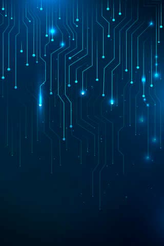 Top IT Support Services Every Business Needs in 2025